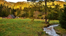 Wybierz toaletę dla Tatrzańskiego Parku Narodowego